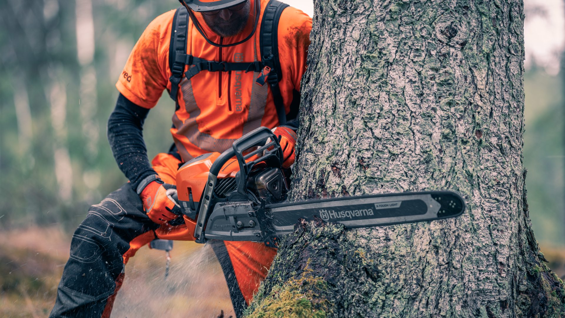 professional with chainsaw chopping tree trunk