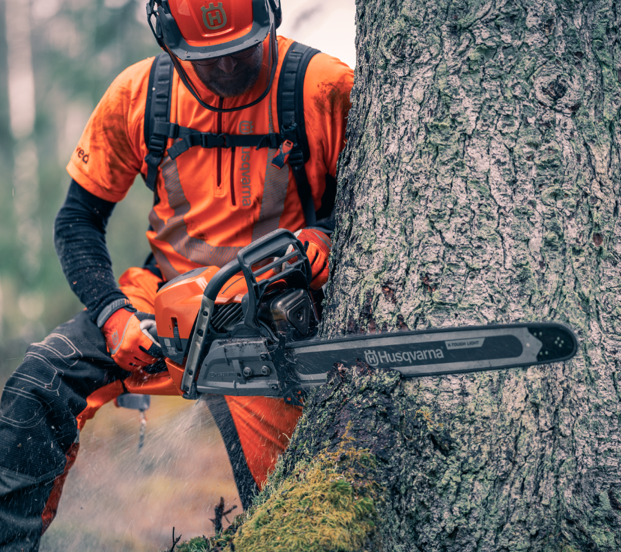 professional with chainsaw chopping tree trunk